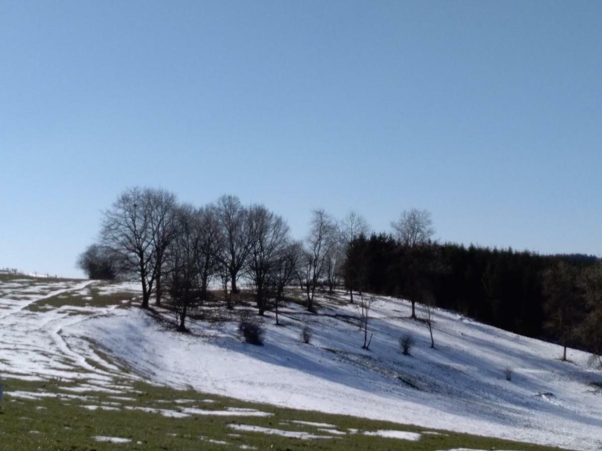 Vaux-sur-SureOh Deer!アパートメント エクステリア 写真